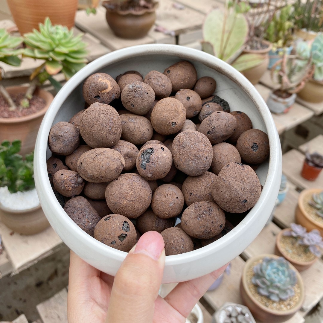 养花陶粒垫底铺面疏水透气垫底铺面多肉棒棒糖月季花防烂根园艺