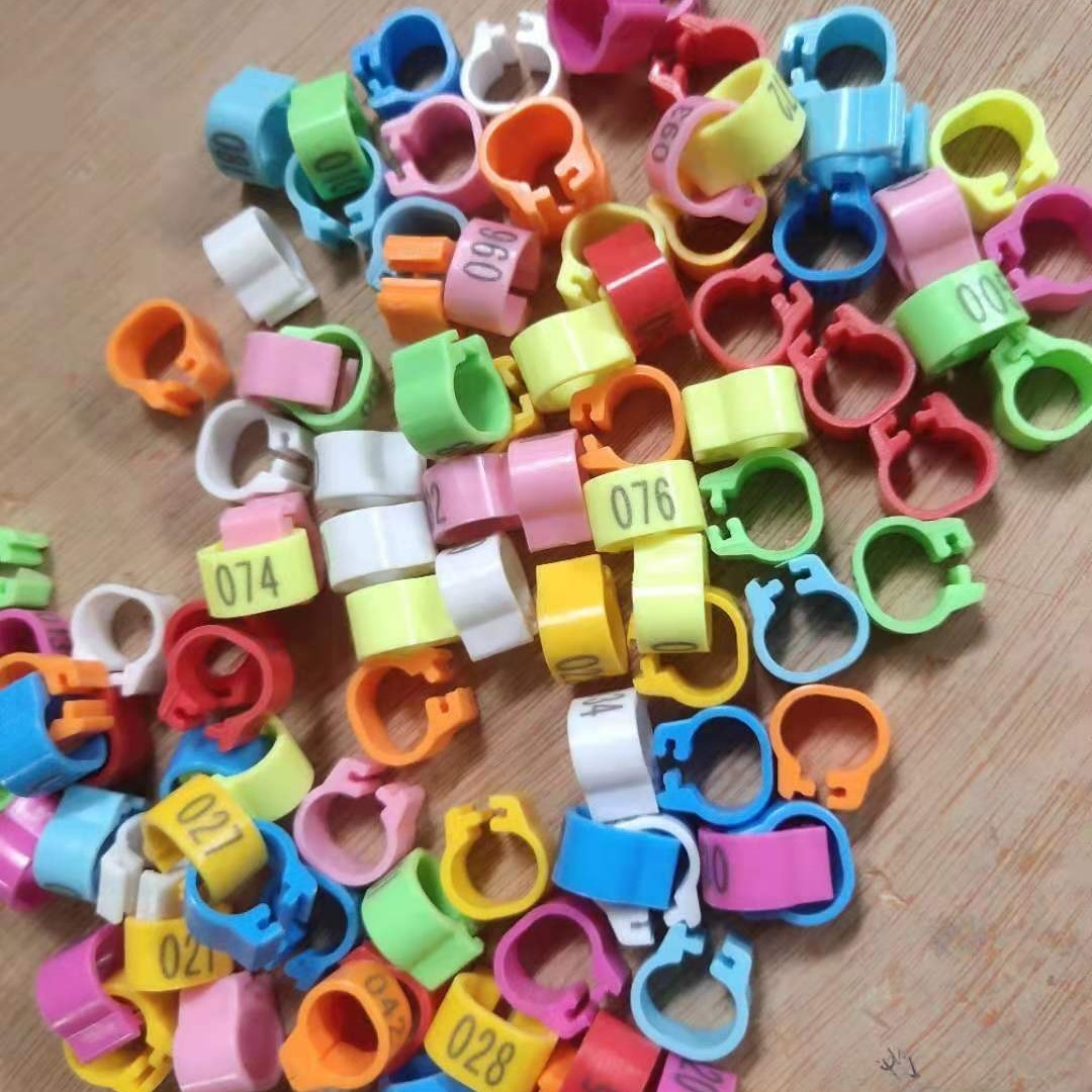 鸽子信鸽赛鸽用品用具开口识别数字记号环塑料脚环足环彩色卡环