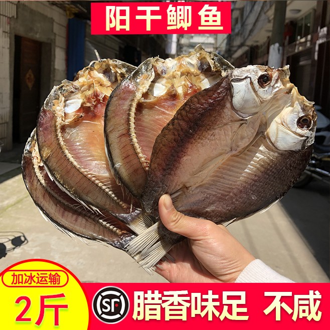湖北省洪湖市阳干鲫鱼2斤4斤6斤散装腌制散装腌制