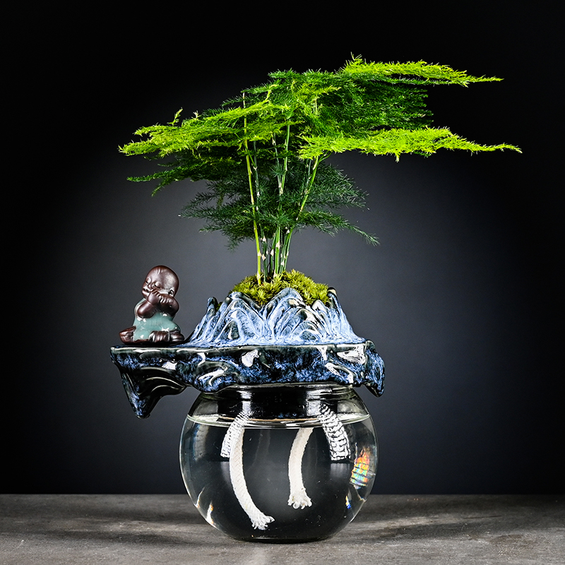 文竹发财树水养办公桌植物创意懒人自动吸水盆栽花卉室内好养盆景