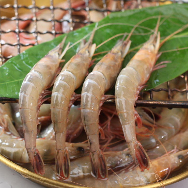 【达人专属海捕滑皮虾】生腌专用款超低温速冻发货石浦海鲜东海条虾