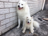 广州市新生车品有限公司的小店