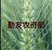 商丘市睢阳区古宋乡供销合作社勤友农资部的小店