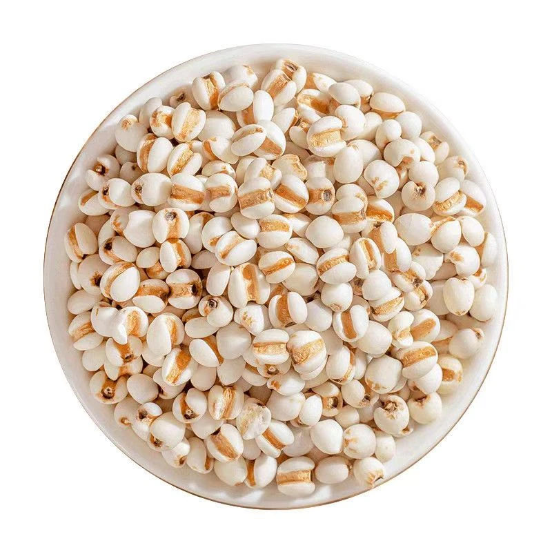 新鲜薏米正宗薏仁米原产新货五谷杂粮泡水熬粥易糯营养薏米茶