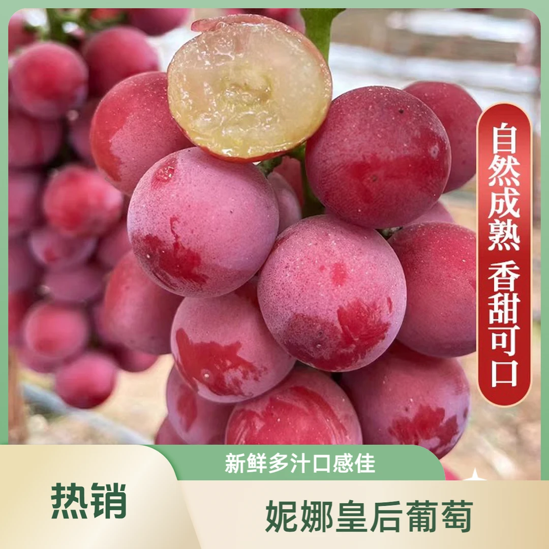 精品全红妮娜皇后新鲜葡萄提子妮娜女皇纯甜无酸【顺丰/京东包邮】