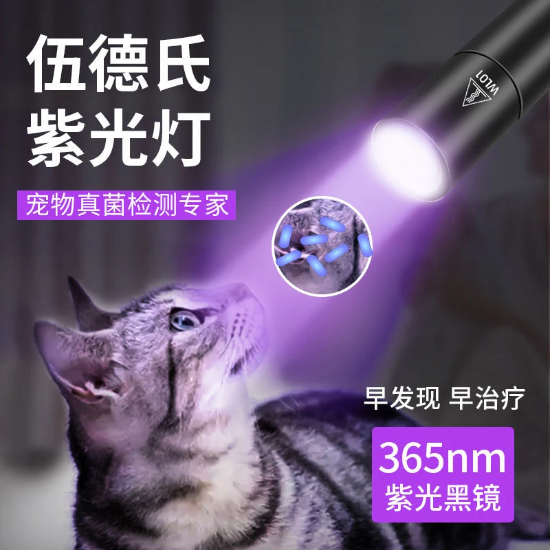 专用验钞伍德氏灯猫藓灯宠物紫光灯照猫藓灯手电筒紫外线真菌检测