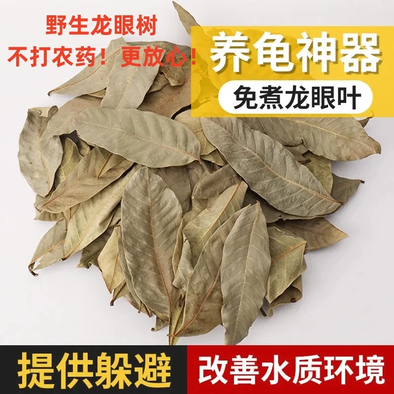 免煮乌龟龙眼叶养龟专用预防腐皮烂甲改善水质龟缸造景躲避龙眼叶