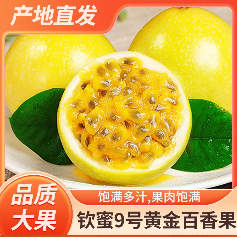 【坏果包赔】正宗钦蜜9号黄金百香果装新鲜应当季黄皮香甜多汁