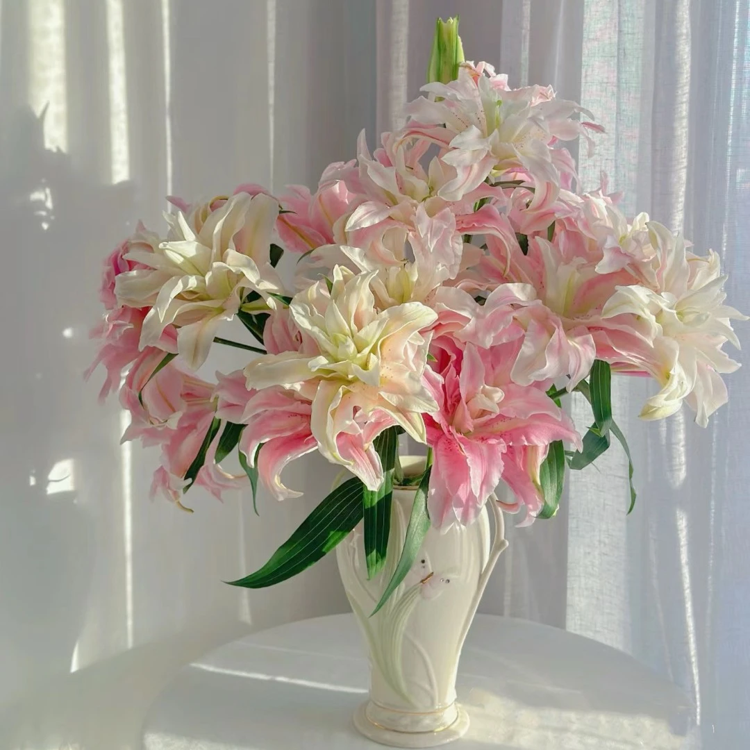 【藩篱匠人/桃花夭】“上海种业 “变色重瓣香水百合粉绿粉绿鲜切花