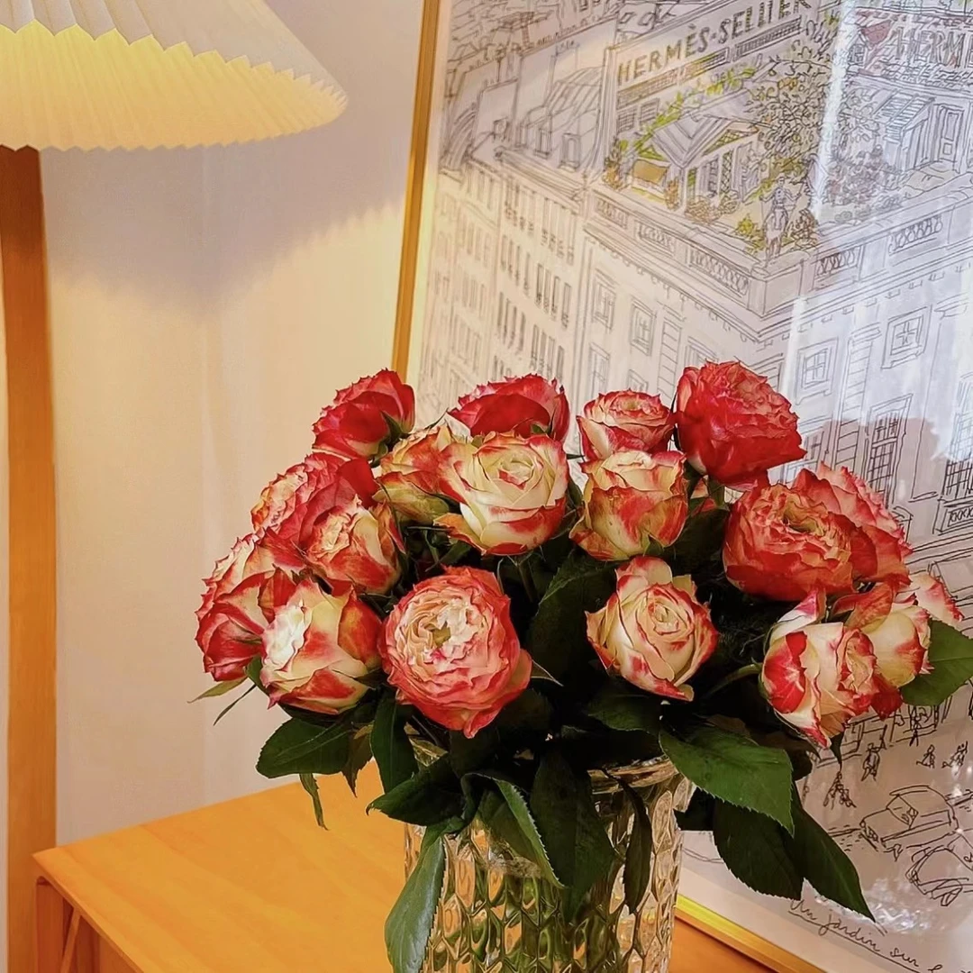 【藩篱匠人/苹果杰克 】高品质单头玫瑰 办公居家装饰鲜切花摆件