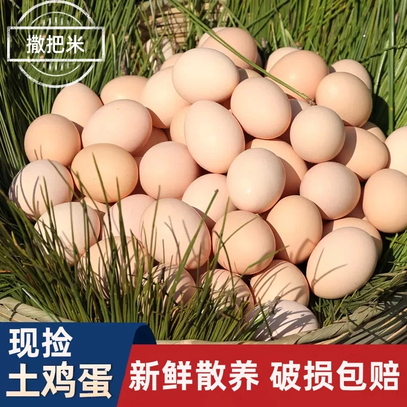 现捡现发农家散养现捡现发营养新鲜鸡蛋月子蛋宝宝蛋散养土鸡蛋