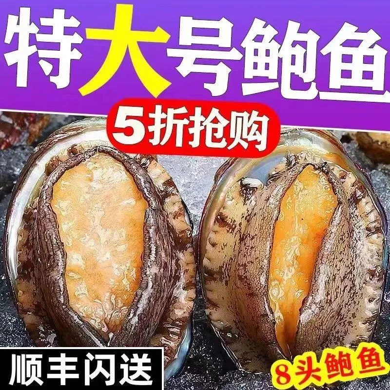 【特价中】鲜活大鲍鱼新鲜冷冻个大鲜活海捕超大野生非鲍鱼干