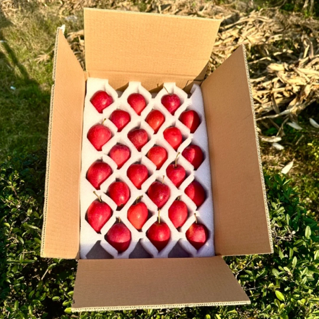 【礼盒限量】东北特产鸡心果锦绣海棠脆甜多汁新鲜小苹果沙果顺丰