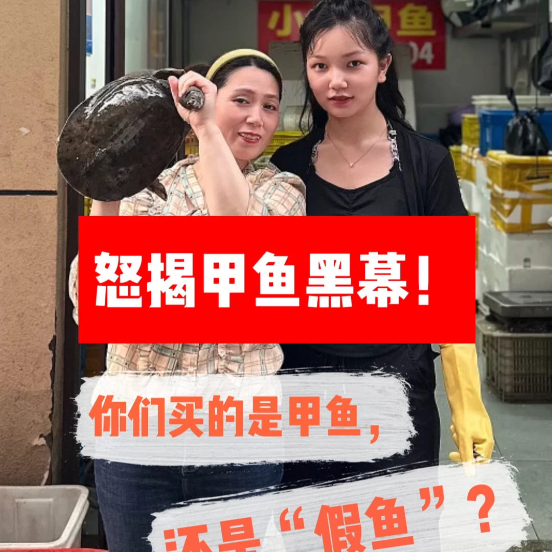 仿天然生态甲鱼单只