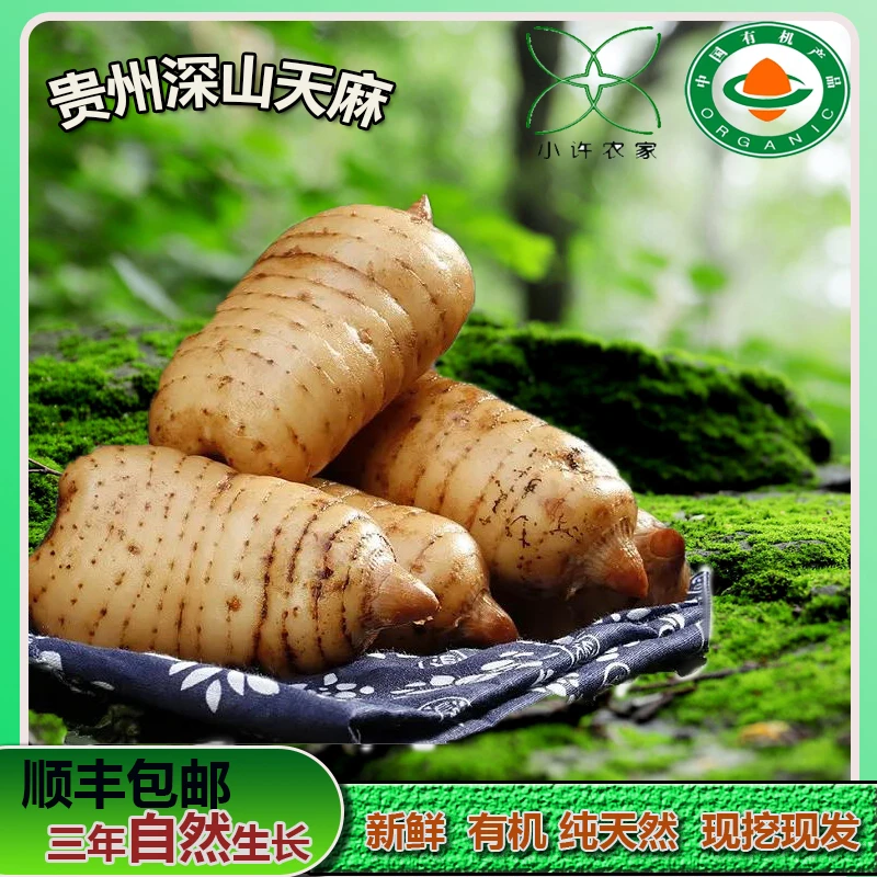 贵州高山正宗三年玄皇乌天麻高林下生长有机认证现挖新鲜天麻产地