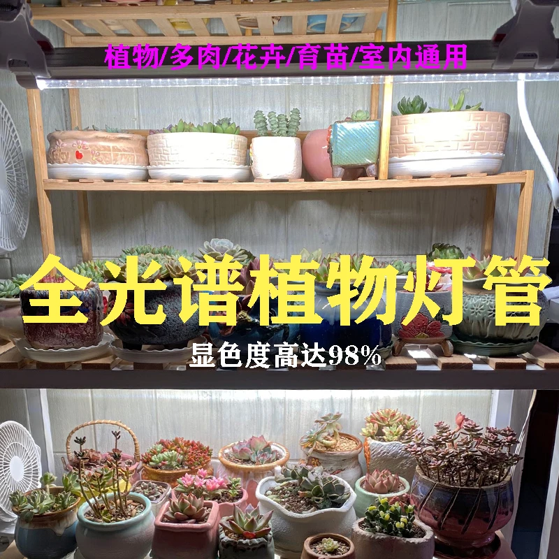 led全光谱植物补光灯兰花蔬菜植物多肉专用上色防徒长室内自然光