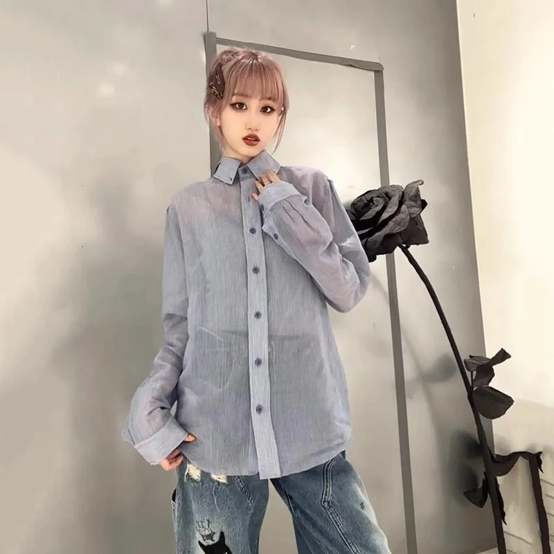 【小狐狸蓝色细条纹衬衫】2025春新款复古刺绣衬衫女