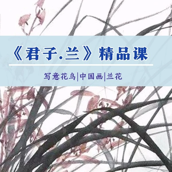 君子·兰 —精品视频课