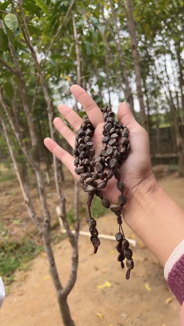 【闪购商品】沉香手串沉水17克钻石珠多样性发货一条