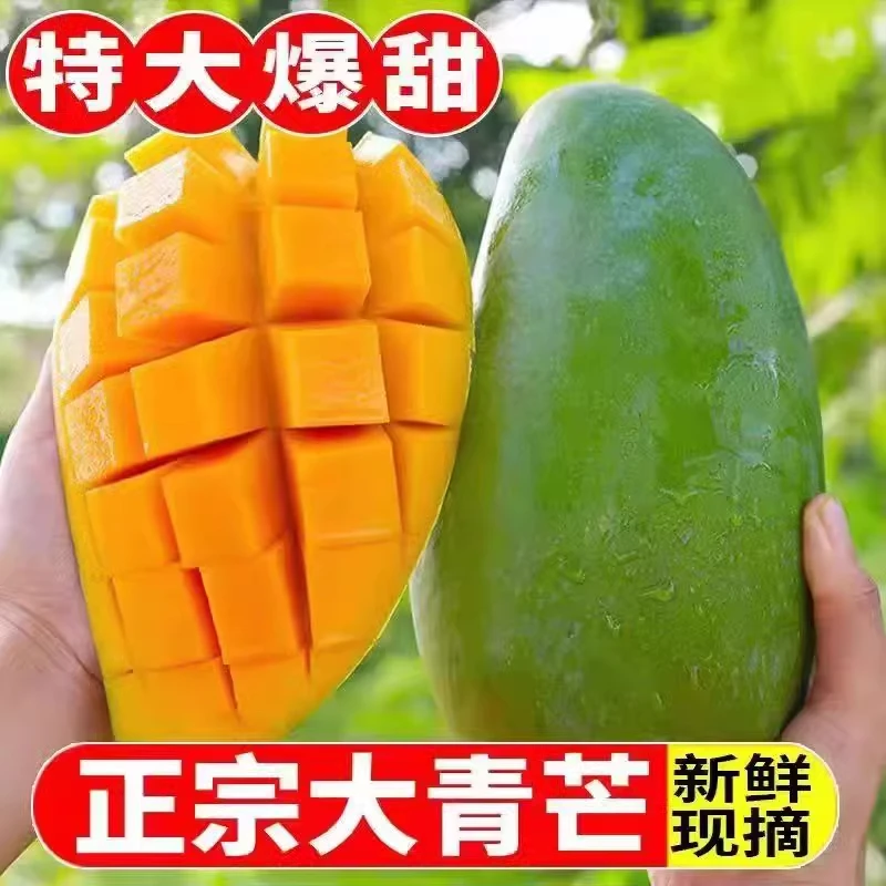 芒果10斤新鲜水果当季整箱现摘青皮