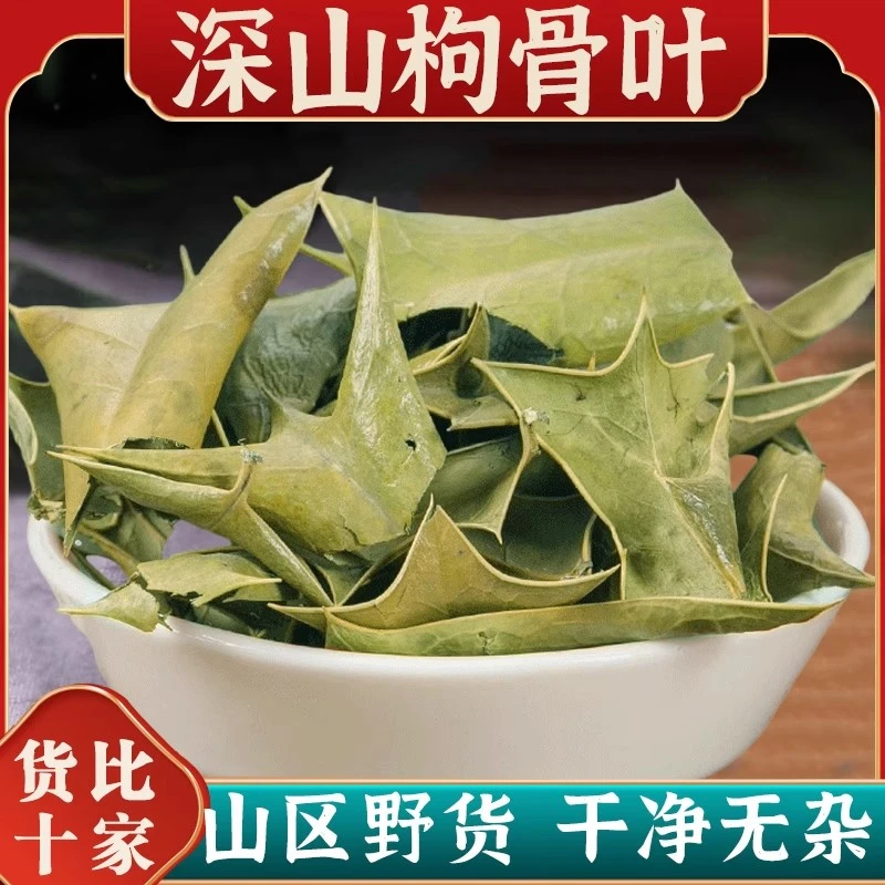 精选野生枸骨叶新货猫儿刺八角刺叶菜枸骨叶250-1000g无硫非甘草