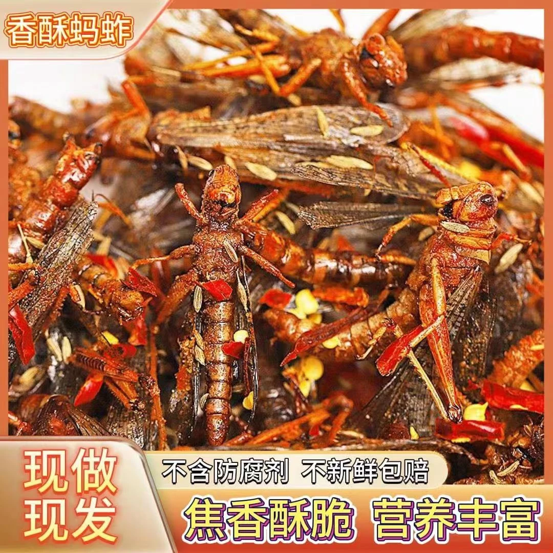 新鲜油炸蚂蚱香辣大蚂蚱蚱蜢蝗虫香辣五香即食小吃40-400g非葛根
