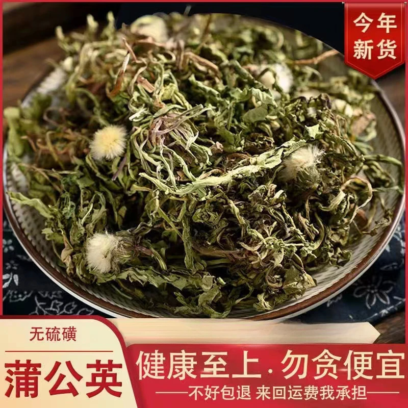 精选野生整株蒲公英干货蒲公英蒲公英整颗250-500g包邮泡水非葛根