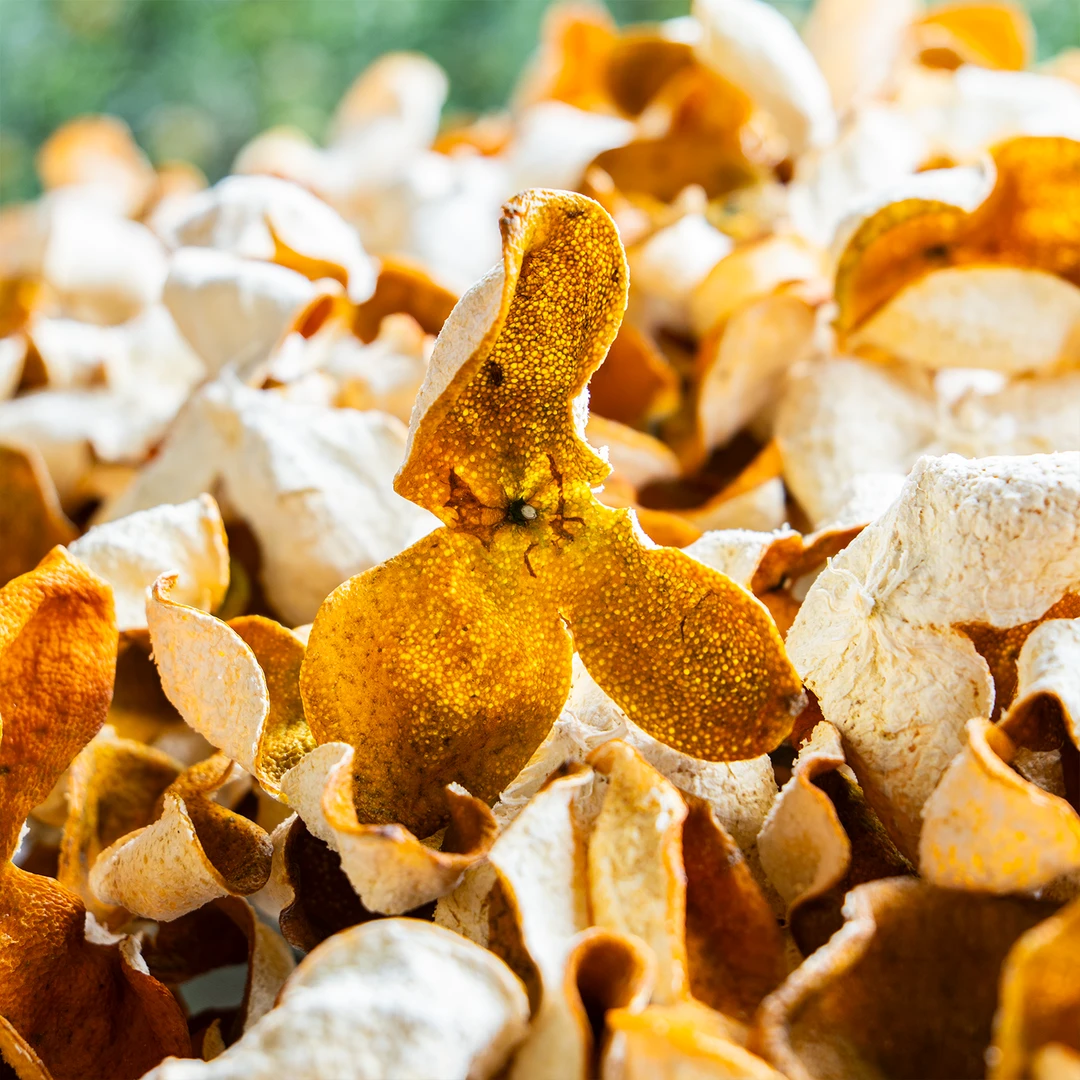 【2024年天马圈枝大红皮】圈枝微甜花香生晒铁桶装浓郁果香