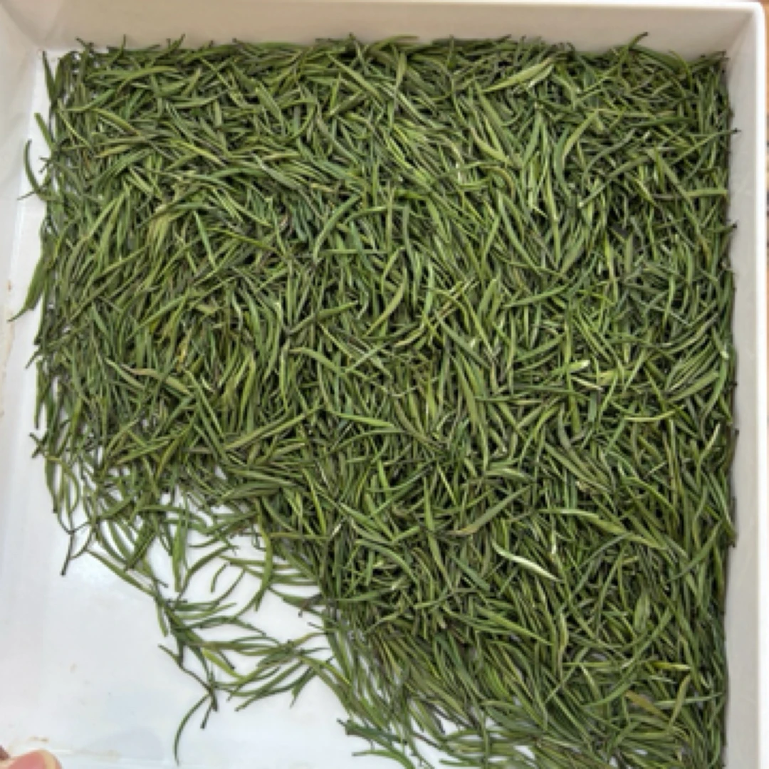 2025年新茶雀舌绿茶毛尖茶