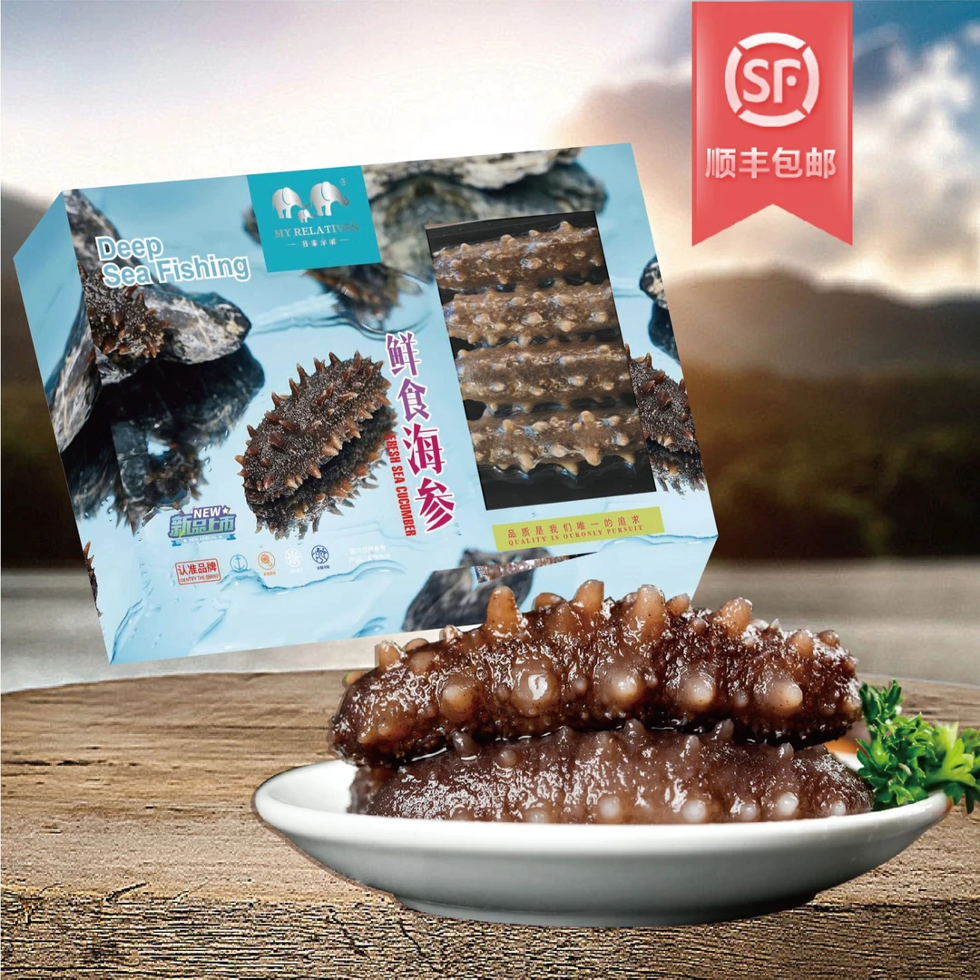 鲜食海参 两盒装 500g/盒*2 冷链美味品质口感好