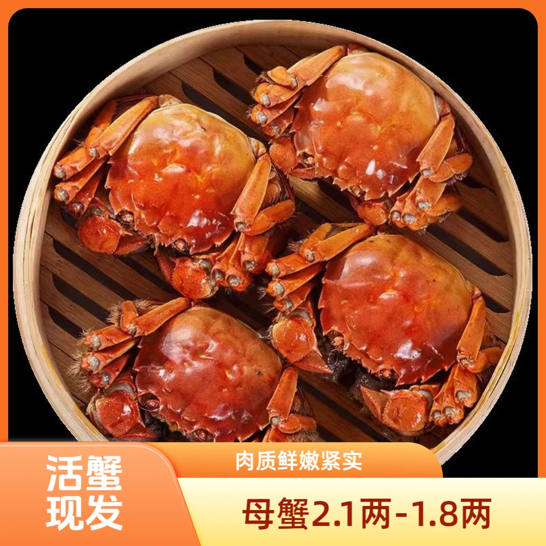 【精品大闸蟹】苏蟹鲜活螃蟹河蟹母蟹2.1两-1.8两顺丰包邮10只/8只