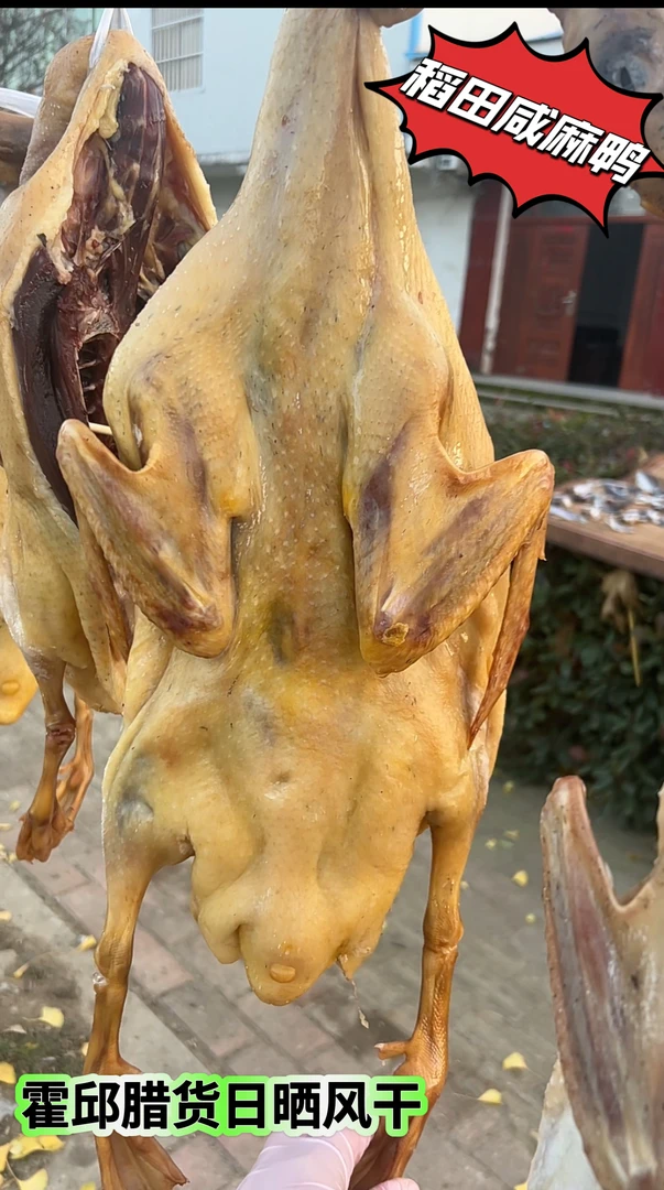 六安农家腊货 咸鸭 稻田麻鸭