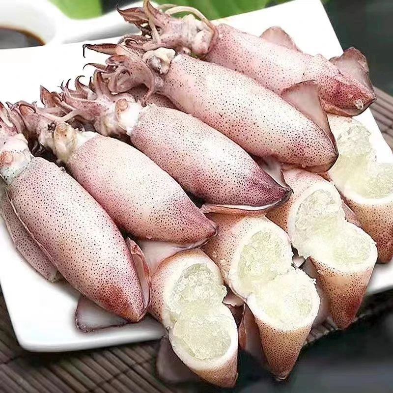 连云港发货 新鲜速冻籽乌 纯籽海兔 750g/盒*2盒 1盒24-35只