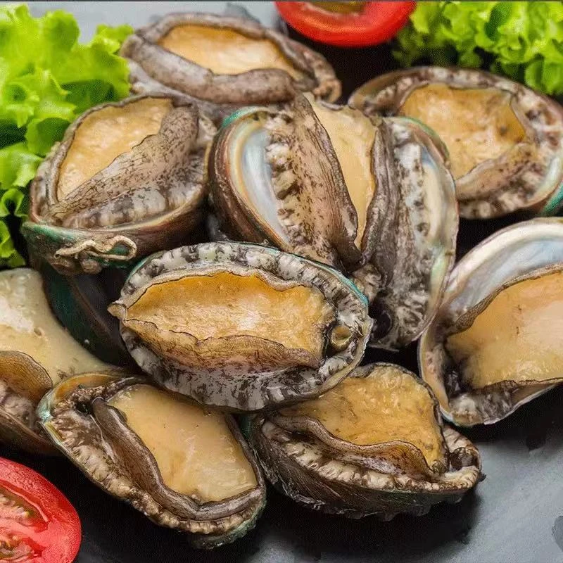 连云港发货 鲜活速冻 液氮锁鲜冷冻大鲍鱼 10-12只/斤 8只/包*4包
