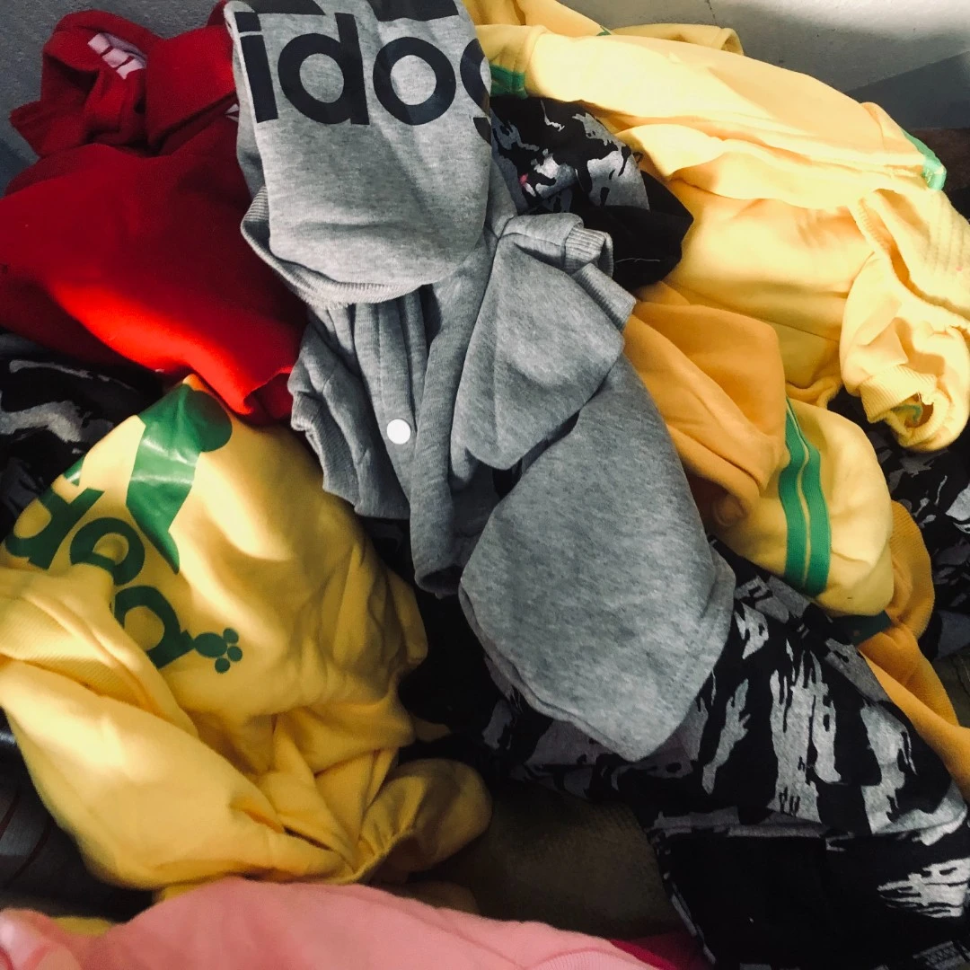 猫咪衣服狗狗秋冬衣服猫狗通用直播间专用两脚四脚衣过款狗狗衣服