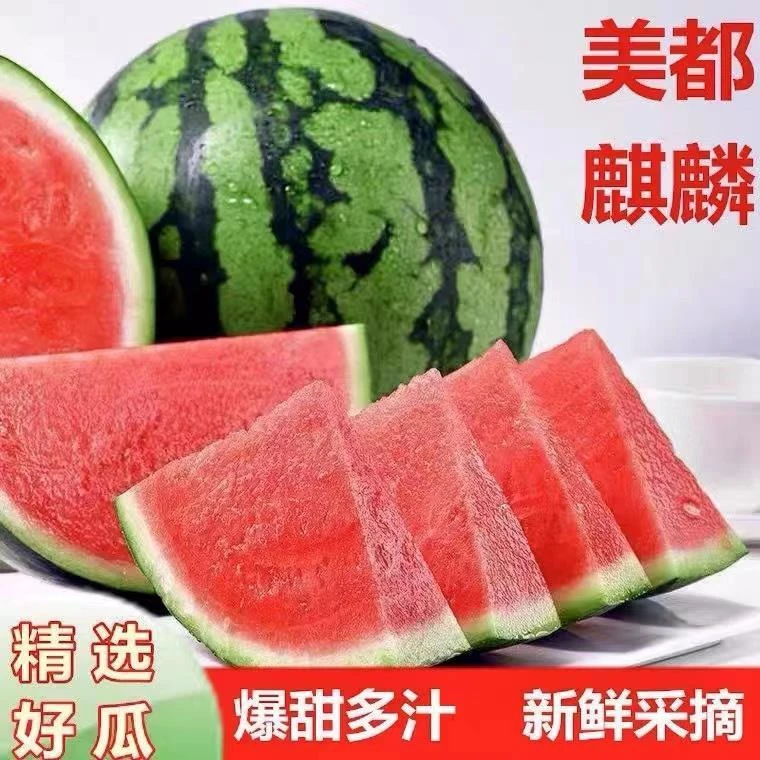 麒麟瓜西瓜沙瓤瓜手剥西瓜新鲜现摘美都8424西瓜当季应季新鲜水果