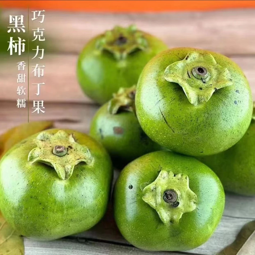 【顺丰】巧克力布丁果黑柿子黑柿稀有罕见水果2-10个装新鲜采摘包赔