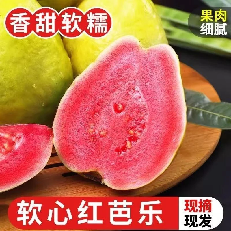 精选软糯红心大果番石榴现摘现发新鲜水果香软芭乐现摘多汁水果10