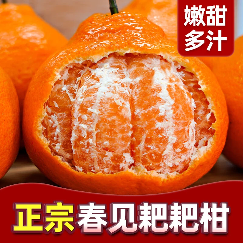 四川正宗春见耙耙柑橘子桔子当季新鲜孕妇水果橘子香甜丑八怪丑橘