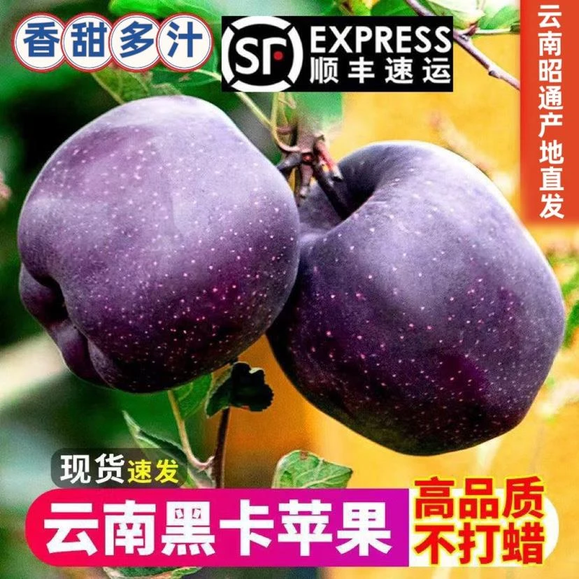 【顺丰包邮】云南昭通黑卡苹果黑钻苹果黑色纯甜新鲜水果整箱3-9斤