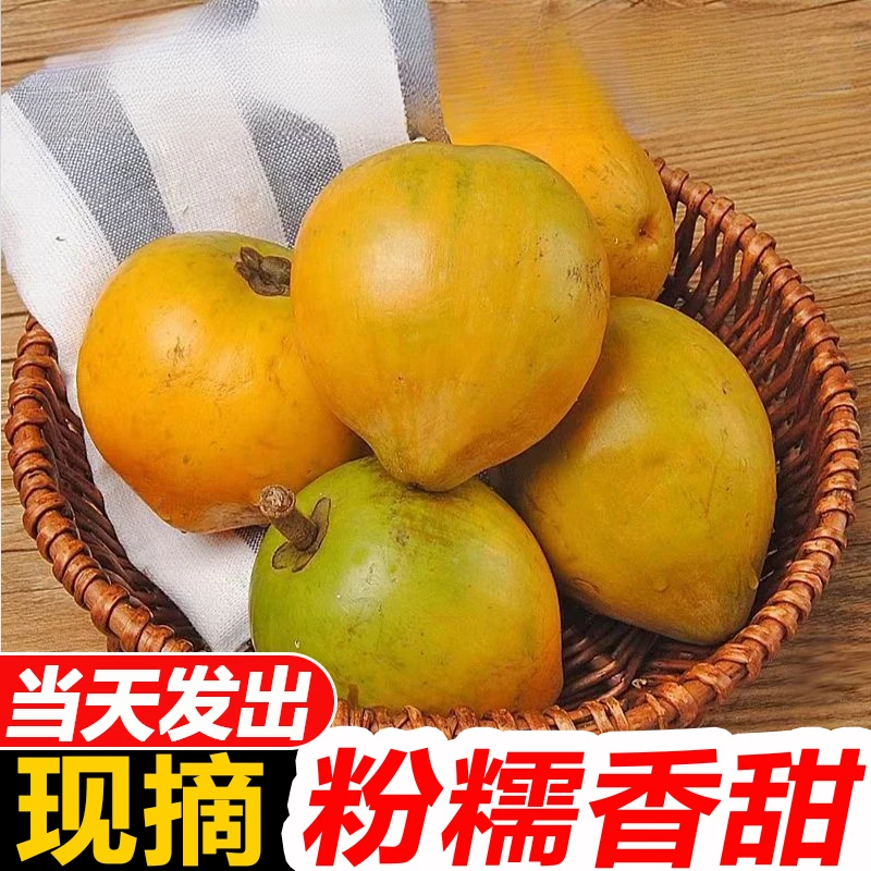 鸡蛋果新鲜海南蛋黄果当季应季热带水果高端水果1-5斤粉糯香甜