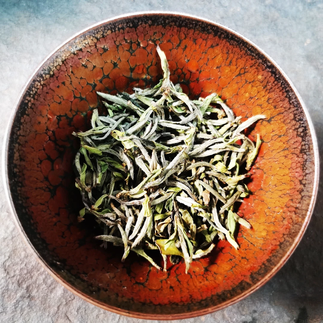 2024年贡眉王首采菜茶牡丹王特级福鼎白茶土茶仔小白茶