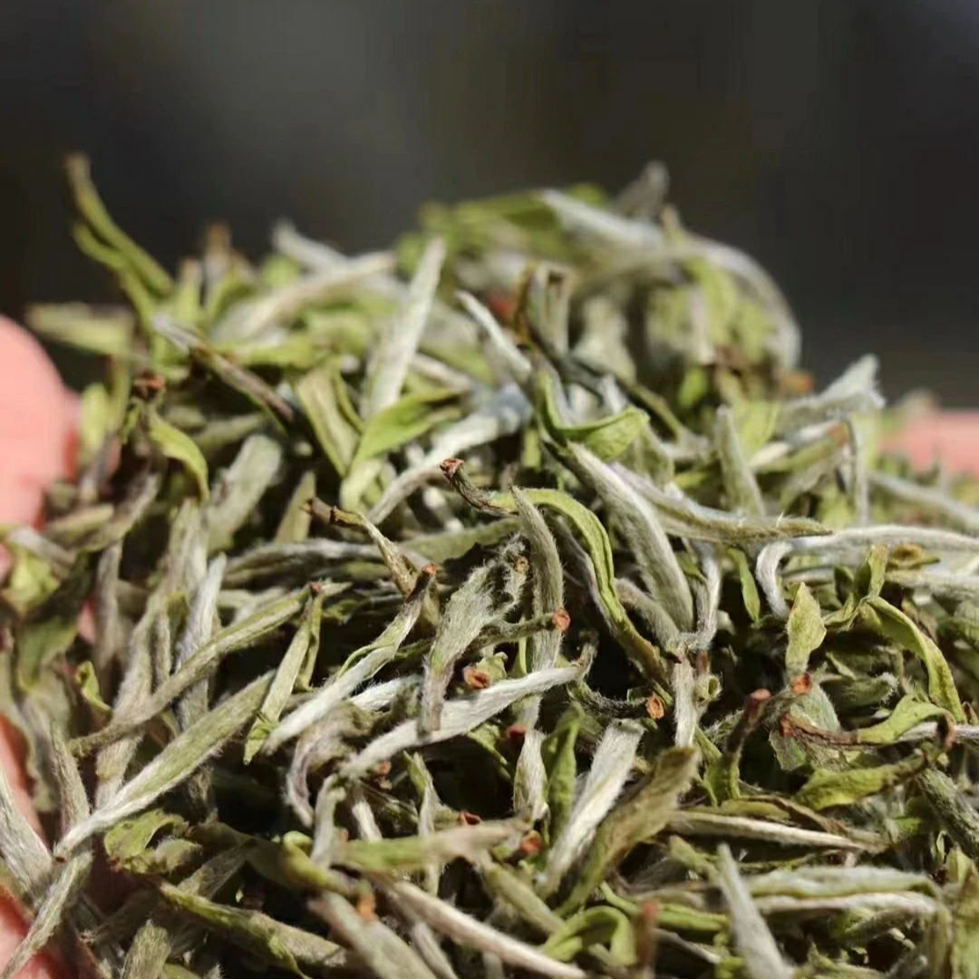 2025首采荒野牡丹王特级扳树白牡丹福鼎白茶散茶50克