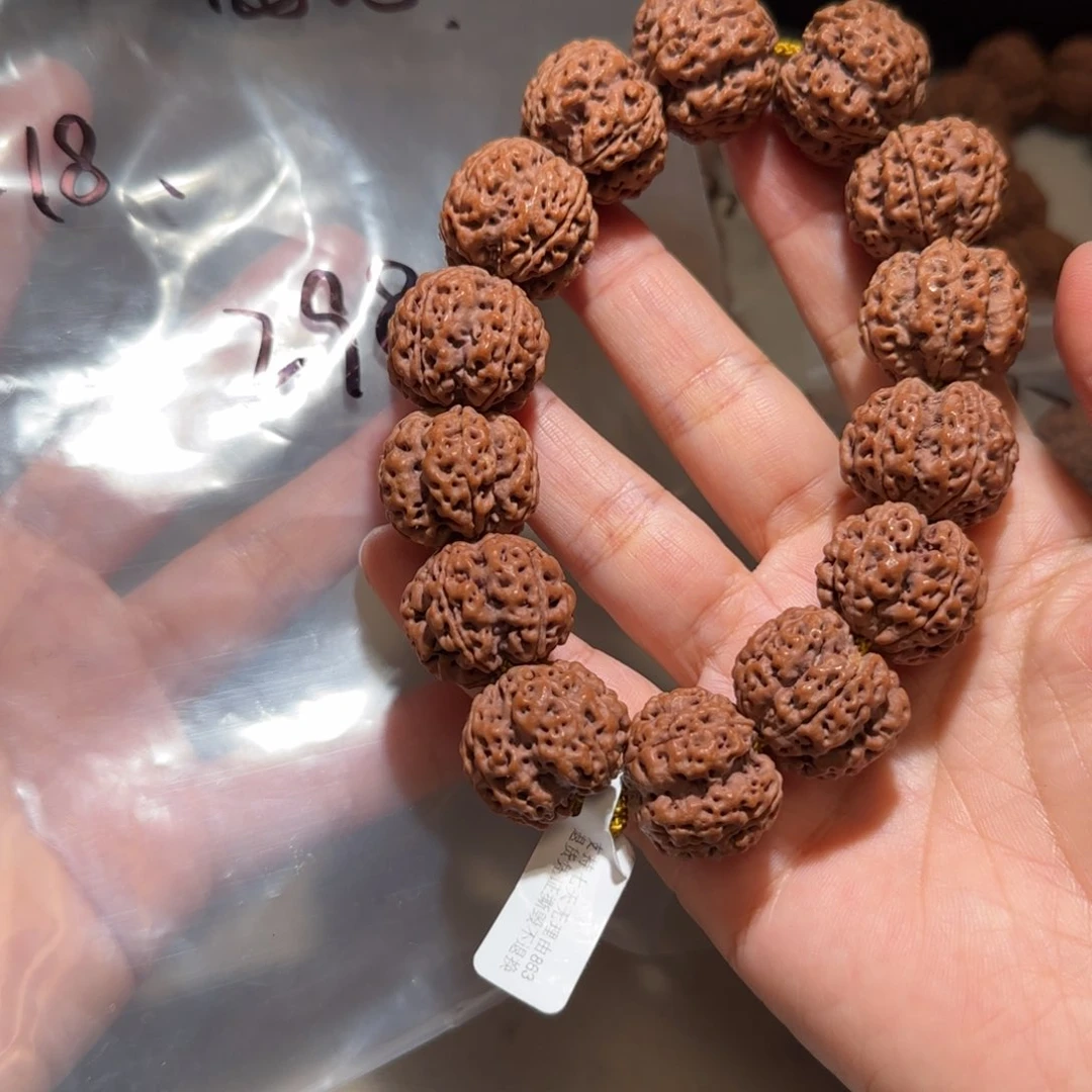 金刚菩提手串树王梅花22×18