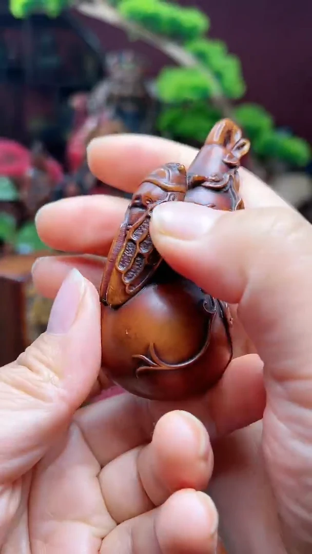 【闪购商品】黄杨木hym.zhiliao.hl