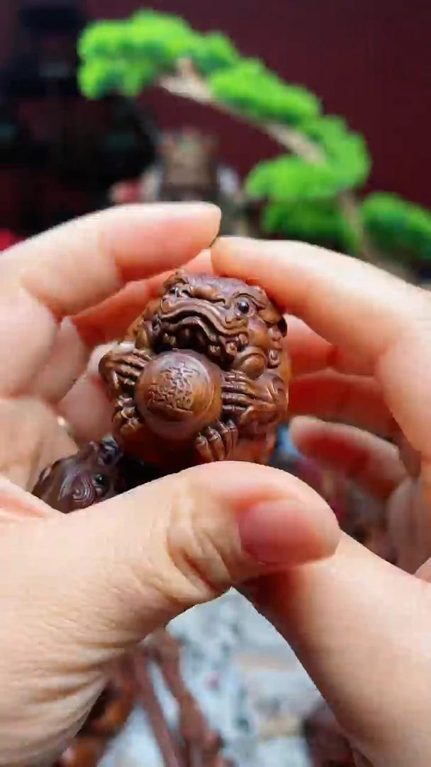 【闪购商品】黄杨木hym.zhaocaijinbao.sq