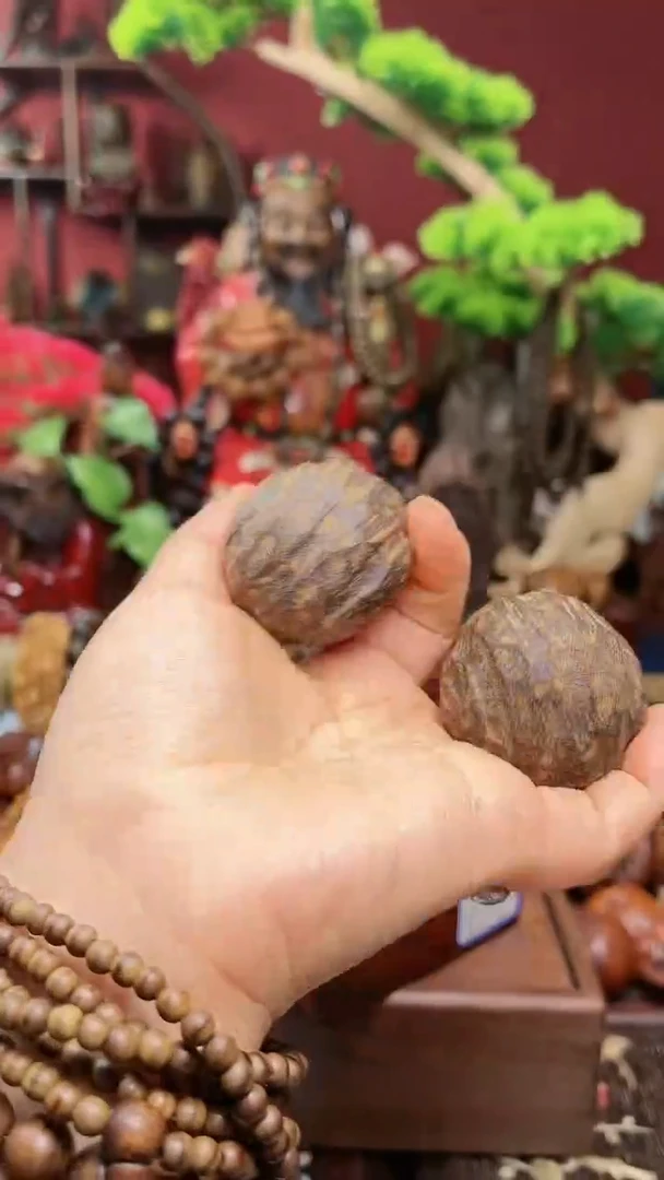 【闪购商品】cx.hetao.sq