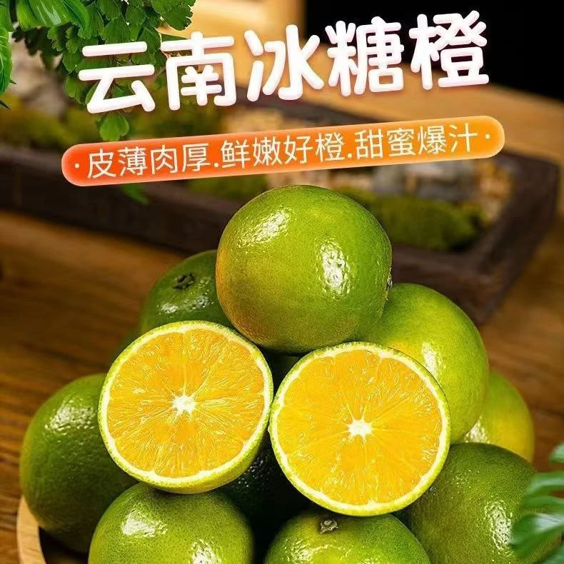 云南哀牢山冰糖橙橙子新鲜水果当季现摘现发 3/5/9斤包邮