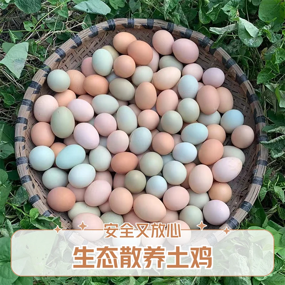 北京密云山区散养跑山鸡柴鸡蛋土鸡蛋色香味美健康顺丰包邮当日达