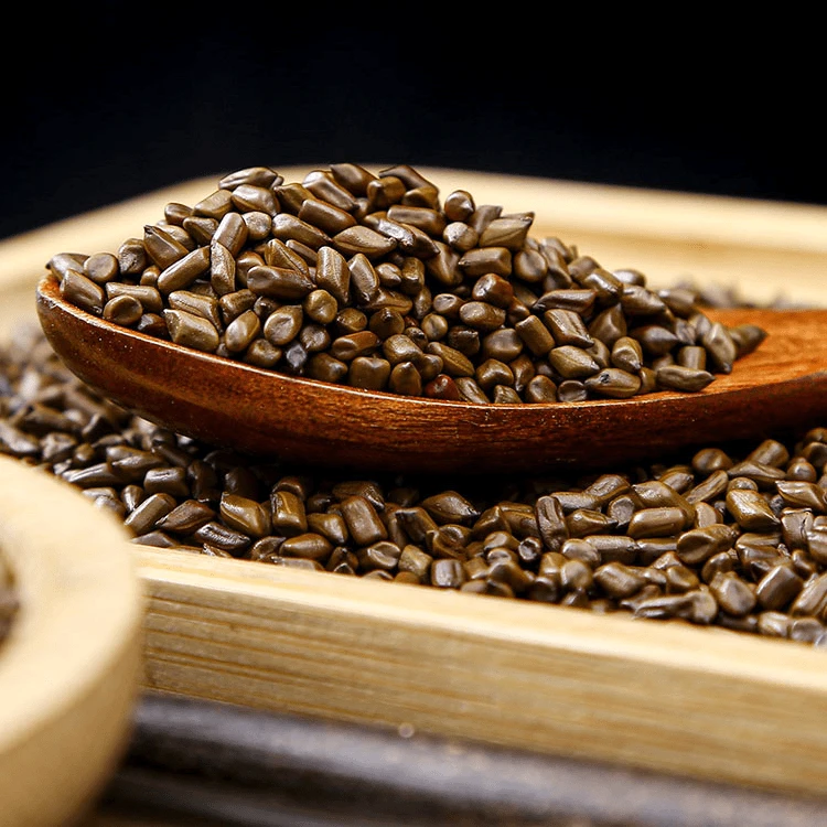精选决明子 可炒熟 决明子茶